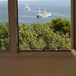 Mlikotic